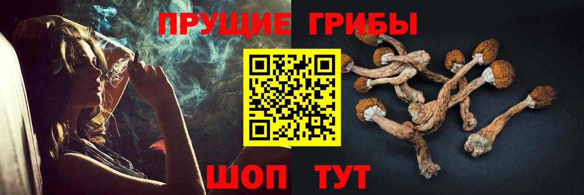 Галлюциногенные грибы GOLDEN TEACHER Братск